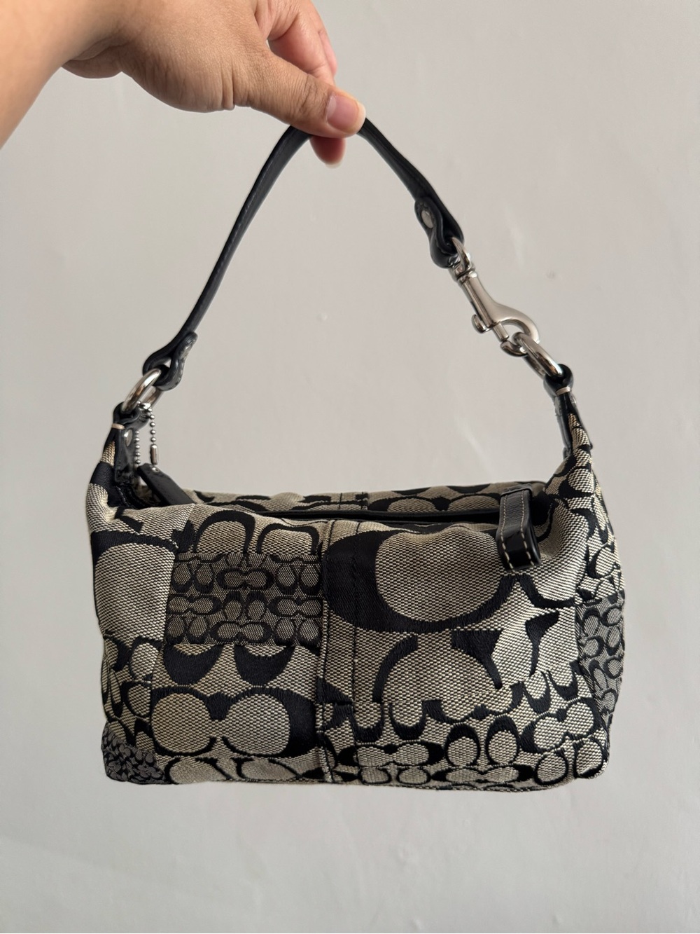 Small Coach Bag